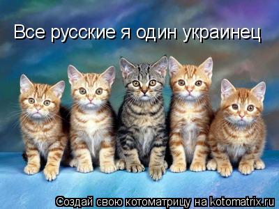 Котоматрица: Все русские я один украинец