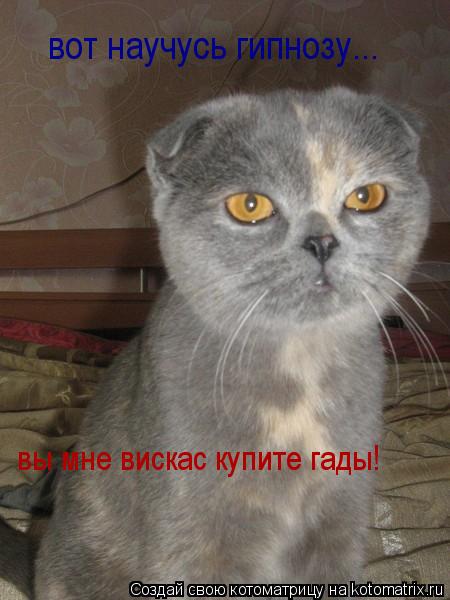 Котоматрица: вот научусь гипнозу... вы мне вискас купите гады!
