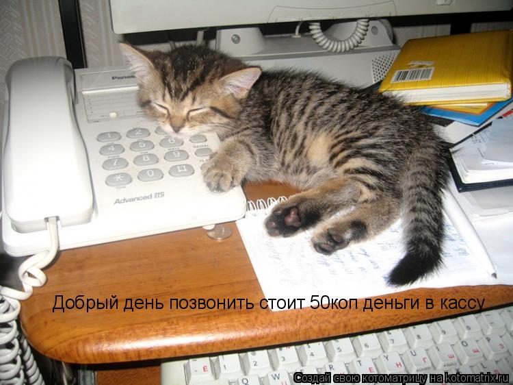 Котоматрица: Добрый день позвонить стоит 50коп деньги в кассу