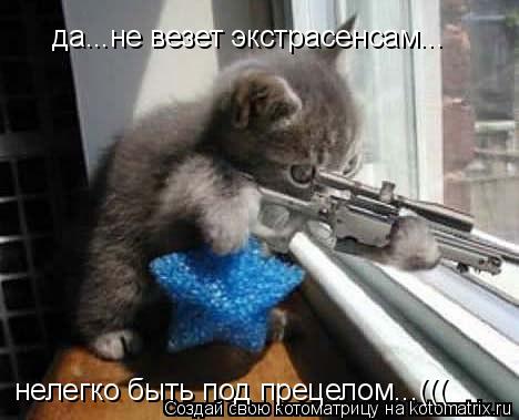 Котоматрица: да...не везет экстрасенсам... нелегко быть под прецелом...(((