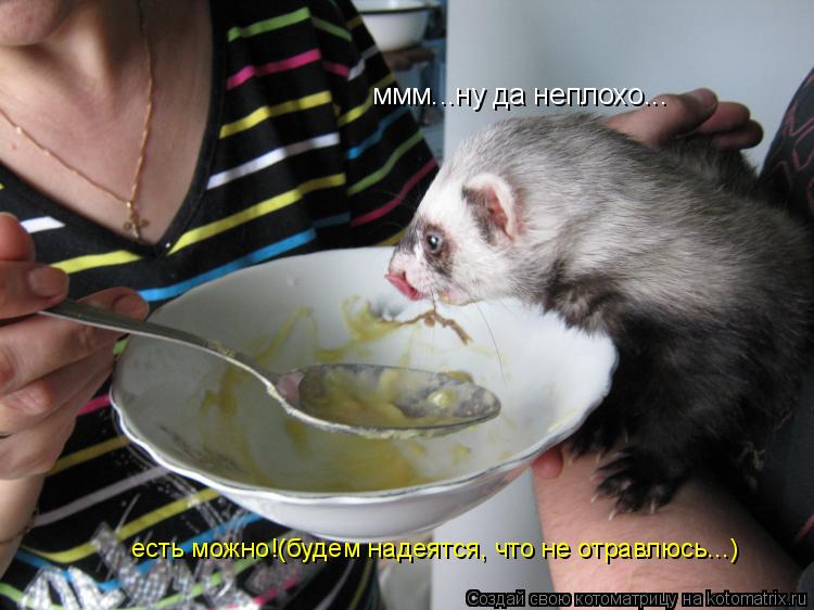 Котоматрица: ммм...ну да неплохо... есть можно!(будем надеятся, что не отравлюсь...)