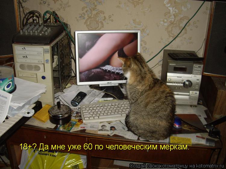 Котоматрица: 18+? 18+? Да мне уже 60 по человеческим меркам.