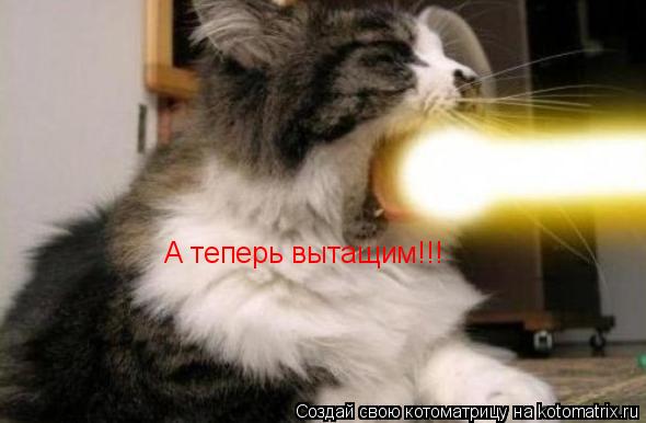 Котоматрица: А теперь вытащим!!!