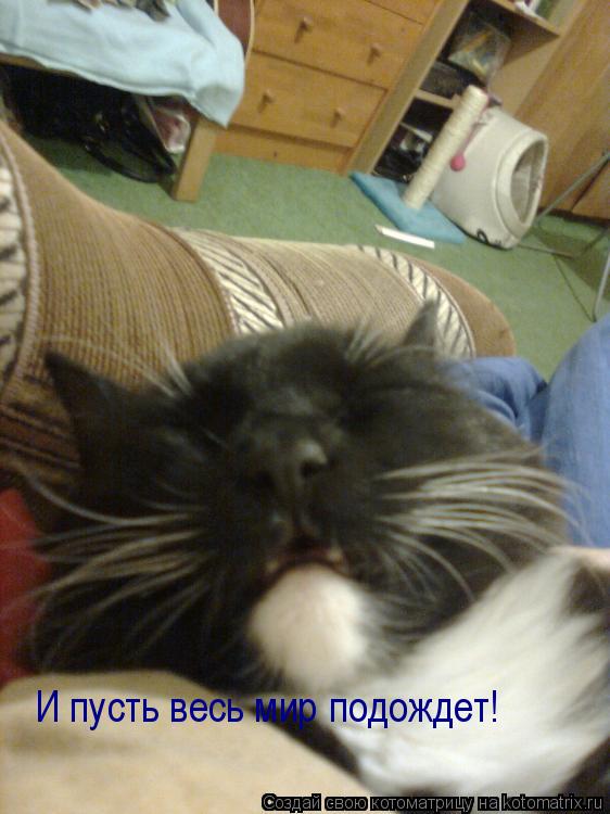 Котоматрица: И пусть весь мир подождет!
