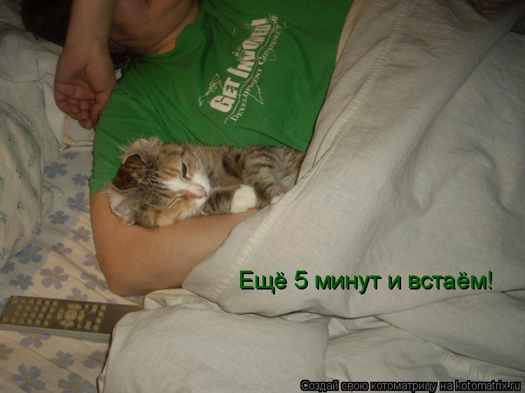 Котоматрица: Ещё 5 минут и встаём!