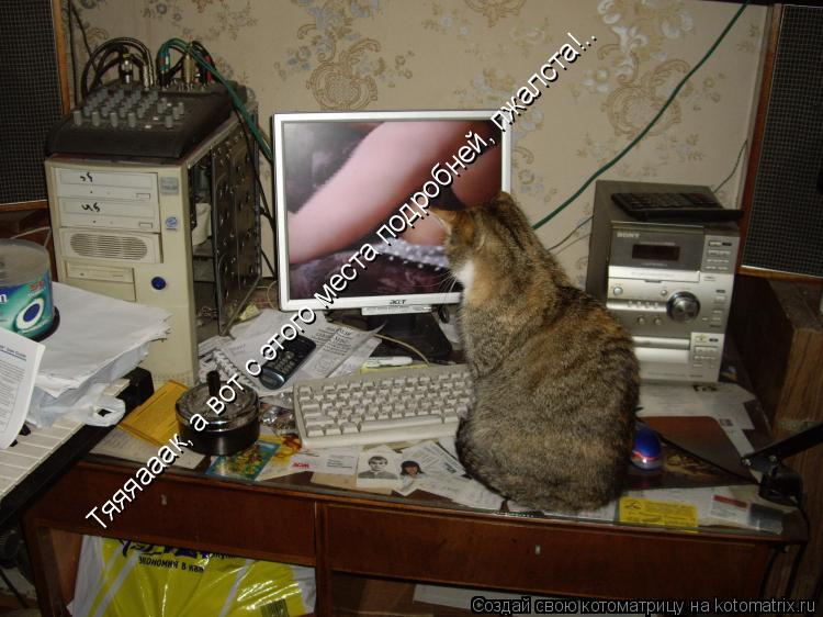 Котоматрица: Тяяяааак, а вот с этого места подробней, пжалста!..