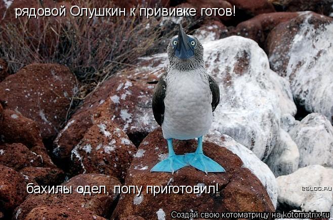 Котоматрица: рядовой Олушкин к прививке готов! бахилы одел, попу приготовил!