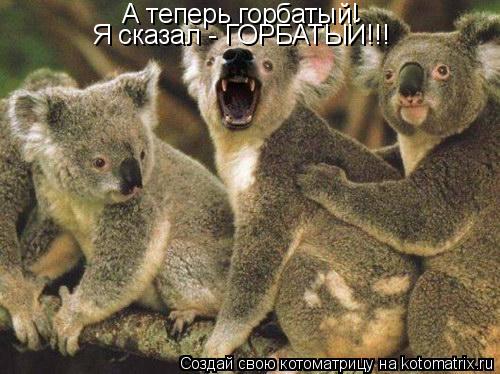Котоматрица: А теперь горбатый! Я сказал - ГОРБАТЫЙ!!!
