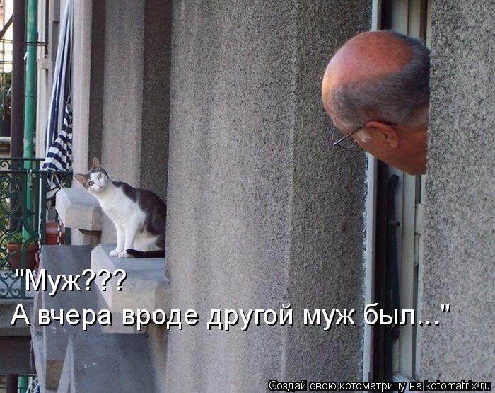 Котоматрица: "Муж???  А вчера вроде другой муж был..."
