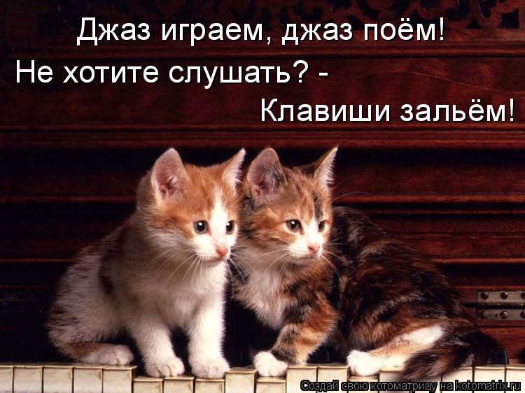 Котоматрица: Джаз играем, джаз поём! Не хотите слушать? - Клавиши зальём!