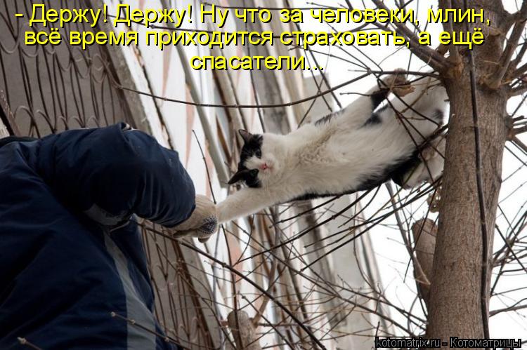 Котоматрица: - Держу! Держу! Ну что за человеки, млин, всё время приходится страховать, а ещё спасатели...