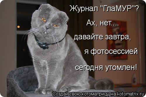 Котоматрица: Ах, нет.... Журнал "ГлаМУР"? давайте завтра, я фотосессией сегодня утомлен!