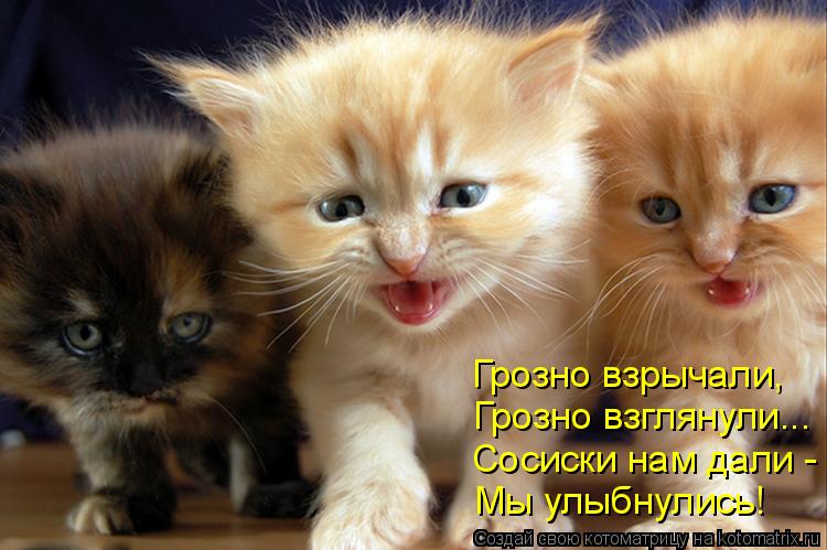 Котоматрица: Грозно взрычали, Грозно взглянули... Сосиски нам дали -  Мы улыбнулись!