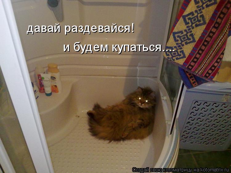 Котоматрица: давай раздевайся! и будем купаться....