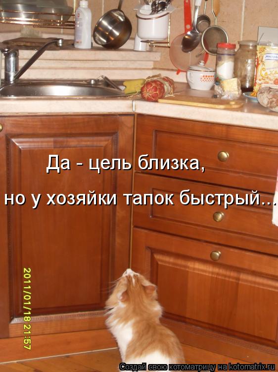 Котоматрица: Да - цель близка,  но у хозяйки тапок быстрый...