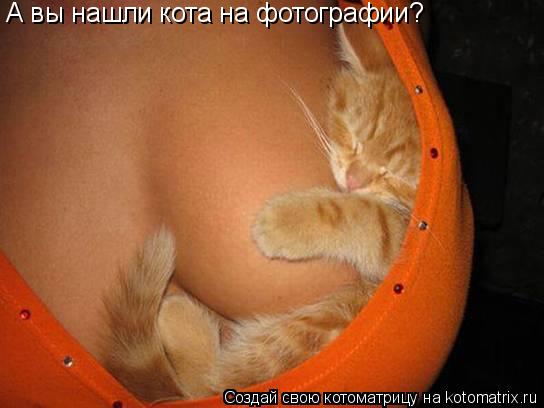 Котоматрица: А вы нашли кота на фотографии?