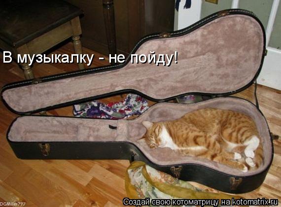 Котоматрица: В музыкалку - не пойду!