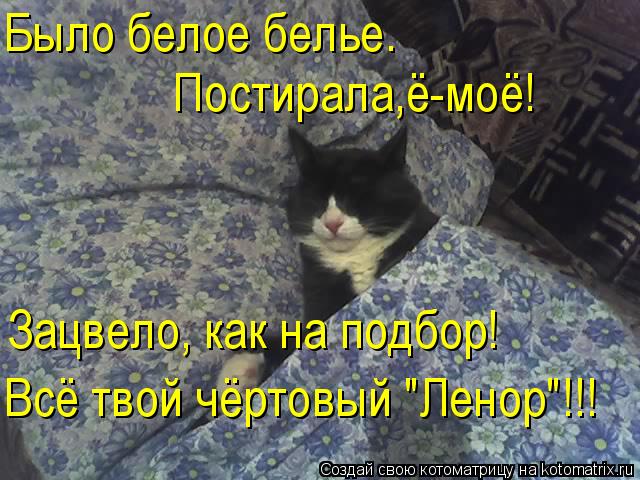 Котоматрица: Было белое белье. Постирала,ё-моё! Зацвело, как на подбор! Всё твой чёртовый "Ленор"!!!
