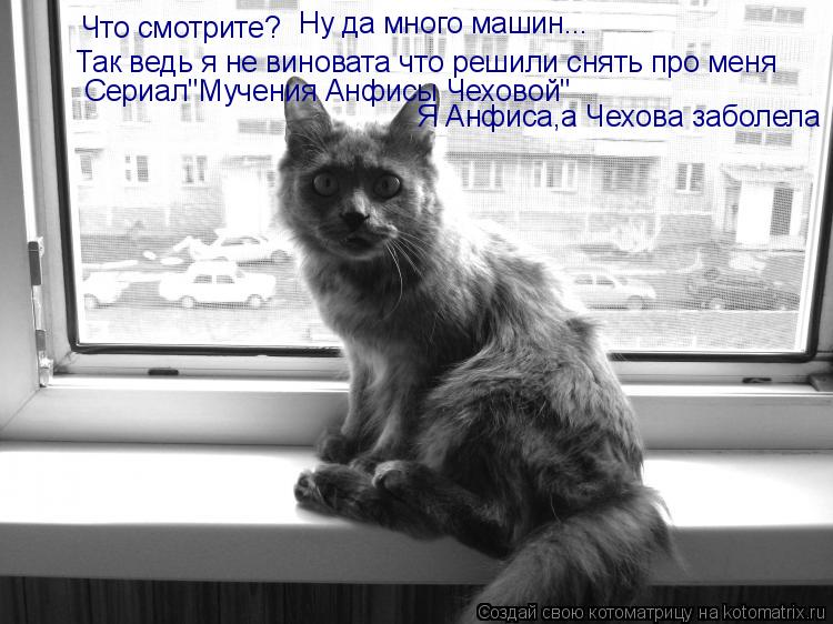 Котоматрица: Что смотрите? Ну да много машин... Так ведь я не виновата что решили снять про меня Сериал"Мучения Анфисы Чеховой" Я Анфиса,а Чехова заболела