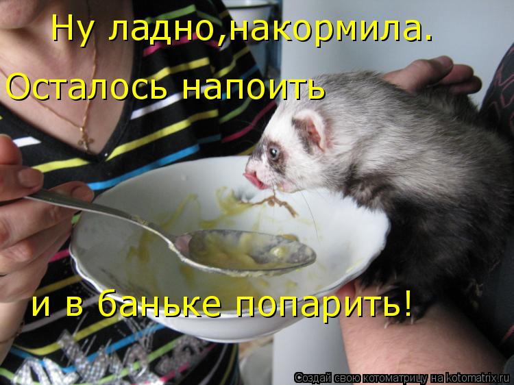 Котоматрица: Ну ладно,накормила. Осталось напоить  и в баньке попарить!