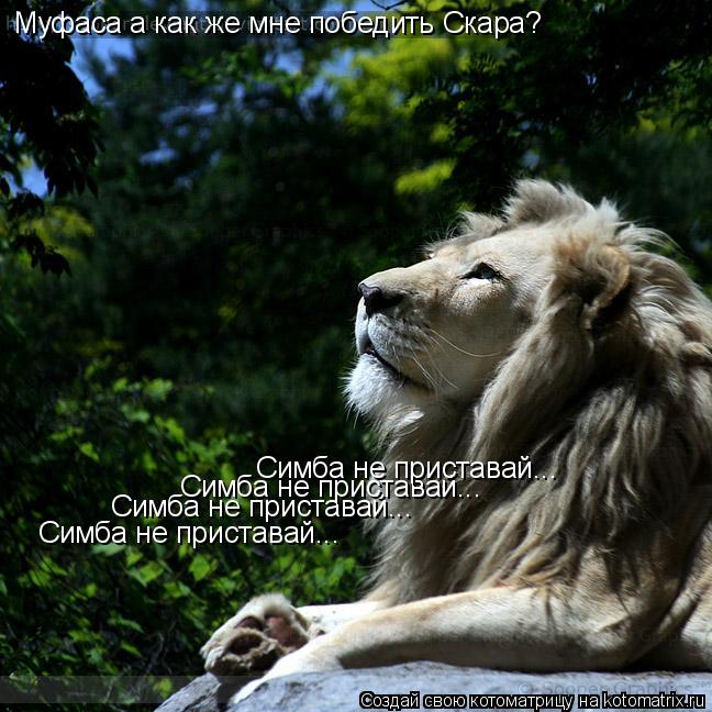 Котоматрица: Муфаса а как же мне победить Скара? Симба не приставай... Симба не приставай... Симба не приставай... Симба не приставай...