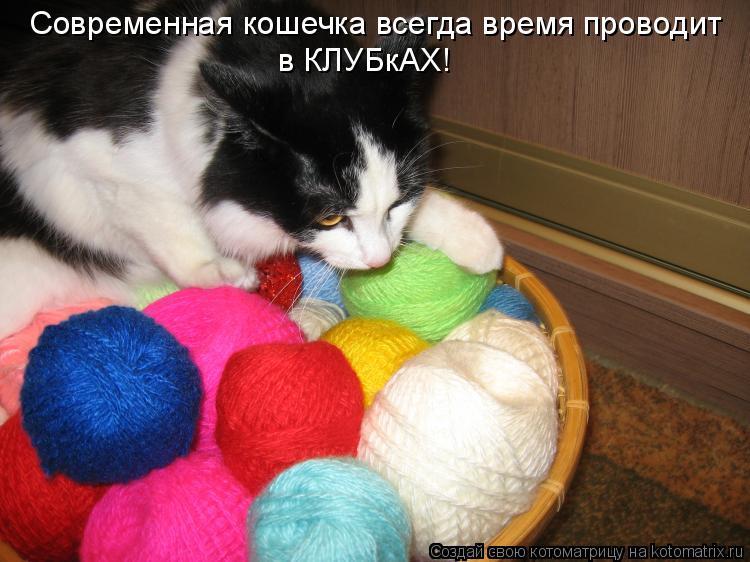 Котоматрица: Современная кошечка всегда время проводит в КЛУБкАХ!