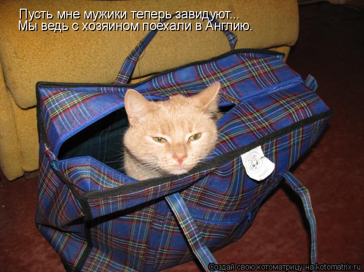 Котоматрица: Пусть мне мужики теперь завидуют... Мы ведь с хозяином поехали в Англию.
