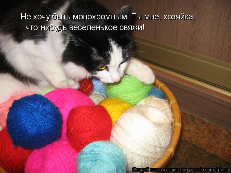 Котоматрица: Не хочу быть монохромным. Ты мне, хозяйка,  что-нибудь весёленькое свяжи!
