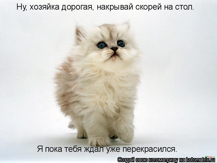 Котоматрица: Ну, хозяйка дорогая, накрывай скорей на стол. Я пока тебя ждал уже перекрасился.