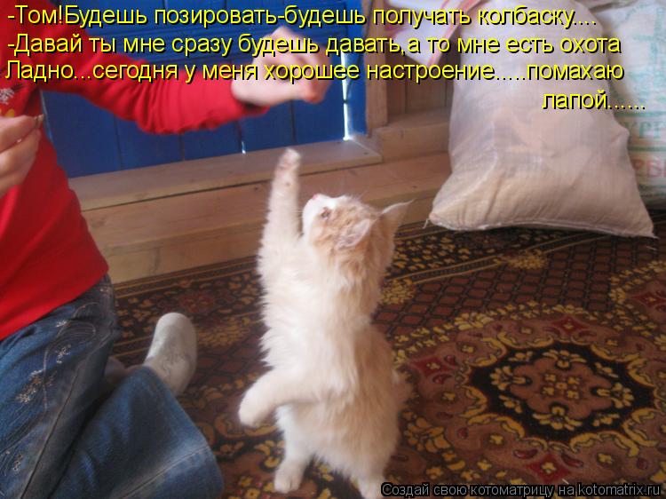 Котоматрица: -Том!Будешь позировать-будешь получать колбаску.... -Давай ты мне сразу будешь давать,а то мне есть охота Ладно...сегодня у меня хорошее настр