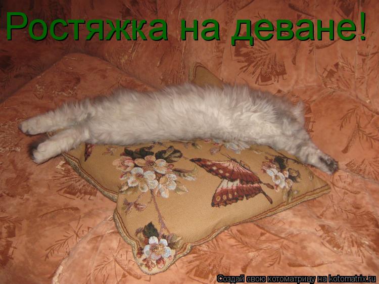Котоматрица: Ростяжка на деване!