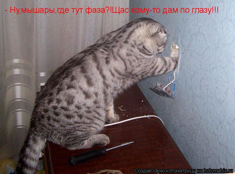 Котоматрица: - Ну,мышары,где тут фаза?!Щас кому-то дам по глазу!!!