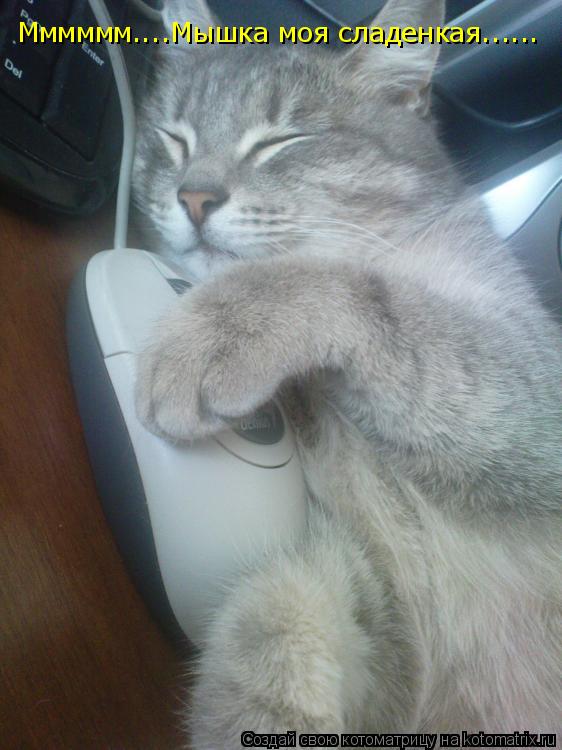 Котоматрица: Мммммм....Мышка моя сладенкая......