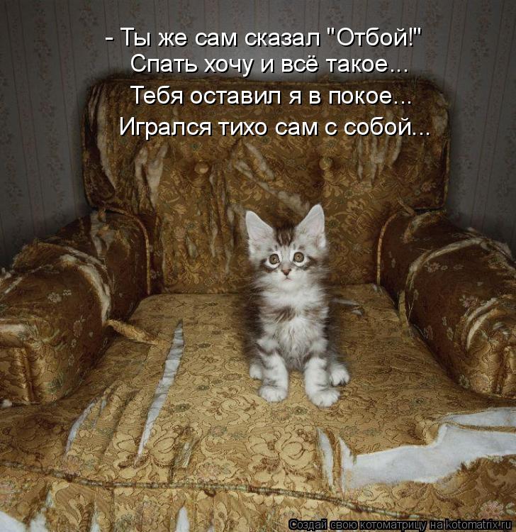 Спать хочу и всё такое... Тебя оставил я в покое... - Ты же сам сказал "Отбой!" Игрался тихо сам с со... Котоматрица: Спать хочу и всё такое... Тебя оставил я в покое... - Ты же сам сказал "Отбой!" Игрался тихо сам с собой...