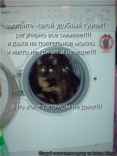 Котоматрица: смотрите -какой удобный туалет! регулярно все смывает!!! и даже на постельное можно.... и никто не кричит и не ищет!!! и по жопе тапочком не дают!