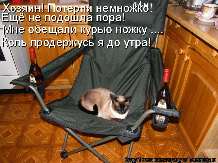 Хозяин! Потерпи немножко! Ещё не подошла пора! Мне обещали курью ножку .... Коль продержусь я до утра... Котоматрица: Хозяин! Потерпи немножко! Ещё не подошла пора! Мне обещали курью ножку .... Коль продержусь я до утра!