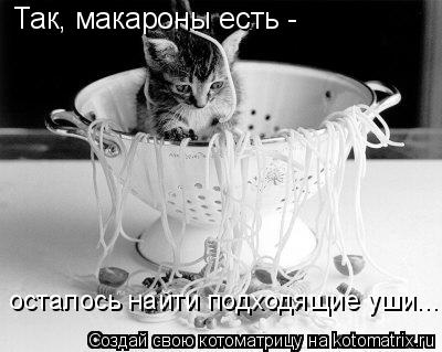 Котоматрица: Так, макароны есть - осталось найти подходящие уши...