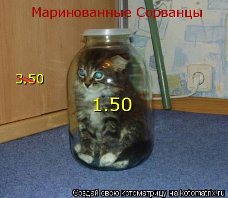 Котоматрица: Маринованные Сорванцы 3.50 / / 1.50