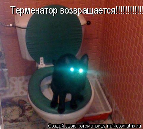 Котоматрица: Терменатор возвращается!!!!!!!!!!!!!!!!!!!!!!!!!!!!!!!!!!!!!!!!!!!!!!!!!!!!!!!!!!!!!!!!!!!!!