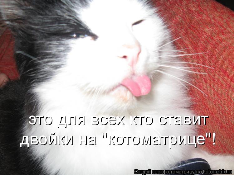 Котоматрица: это для всех кто ставит  двойки на "котоматрице"!