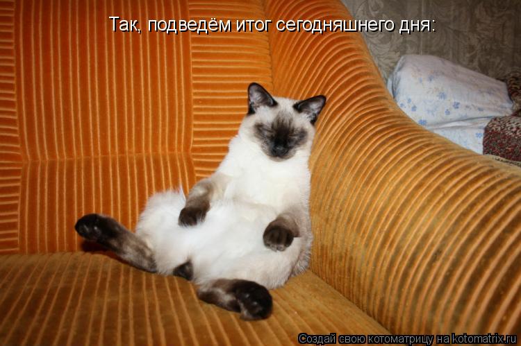 Котоматрица: Так, подведём итог сегодняшнего дня: