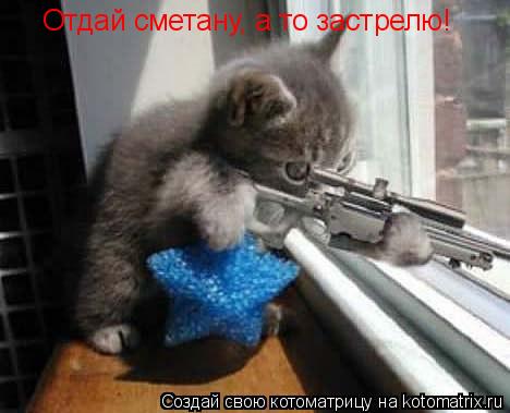 Котоматрица: Отдай сметану, а то застрелю!