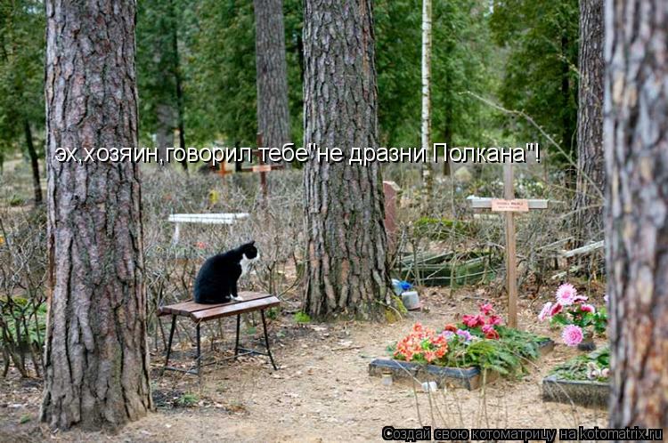Котоматрица: эх,хозяин,говорил тебе"не дразни Полкана"!