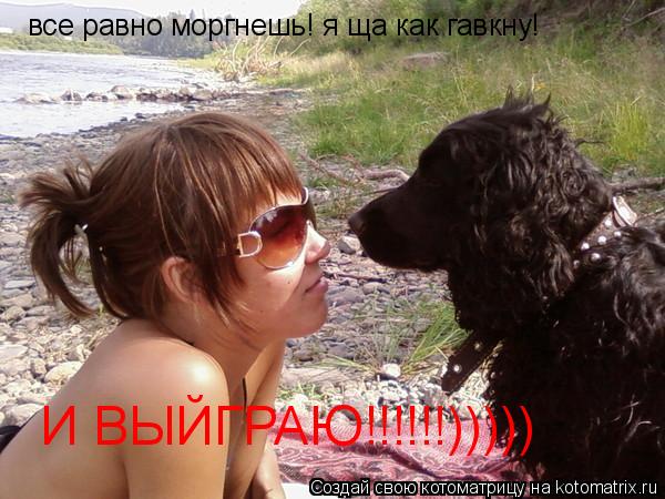 Котоматрица: все равно моргнешь! я ща как гавкну! И ВЫЙГРАЮ!!!!!!)))))
