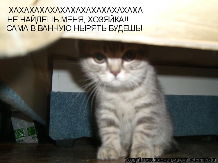 Котоматрица: ХАХАХАХАХАХАХАХАХАХАХАХАХА НЕ НАЙДЕШЬ МЕНЯ, ХОЗЯЙКА!!! САМА В ВАННУЮ НЫРЯТЬ БУДЕШЬ!