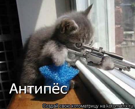 Котоматрица: Антипёс