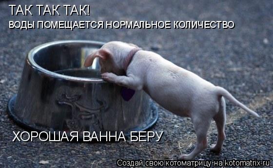 Котоматрица: ТАК ТАК ТАК! ВОДЫ ПОМЕЩАЕТСЯ НОРМАЛЬНОЕ КОЛИЧЕСТВО ХОРОШАЯ ВАННА БЕРУ