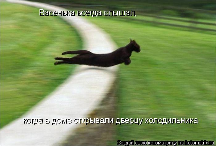 Котоматрица: Васенька всегда слышал, когда в доме открывали дверцу холодильника