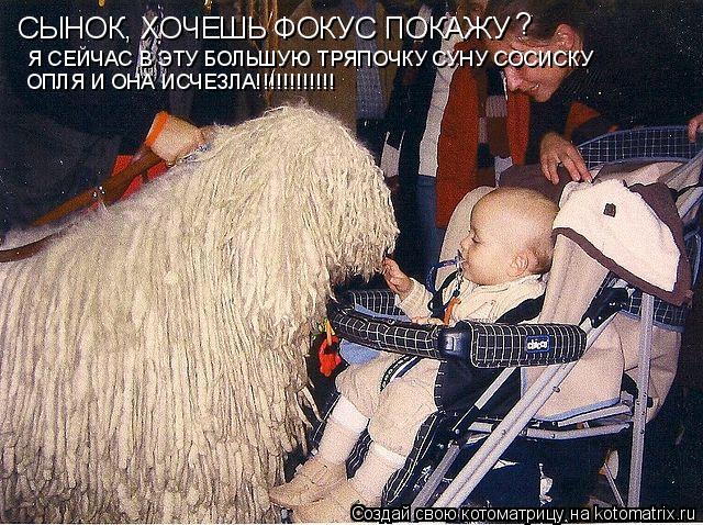 Котоматрица: СЫНОК, ХОЧЕШЬ ФОКУС ПОКАЖУ ? Я СЕЙЧАС В ЭТУ БОЛЬШУЮ ТРЯПОЧКУ СУНУ СОСИСКУ ОПЛЯ И ОНА ИСЧЕЗЛА!!!!!!!!!!!!