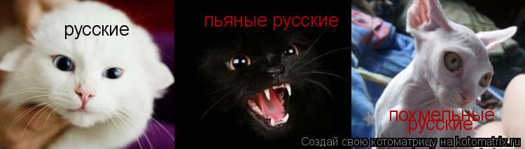Котоматрица: русские пьяные русские похмельные  русские